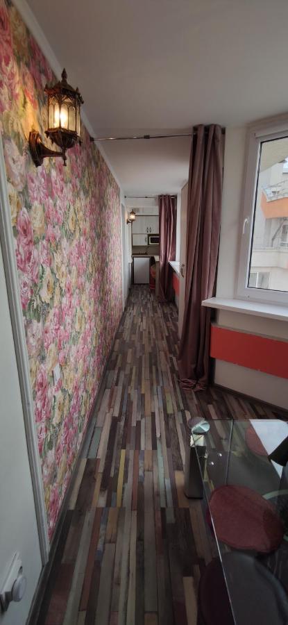 基希讷乌Inessa Center Guest Penthhouse公寓 外观 照片